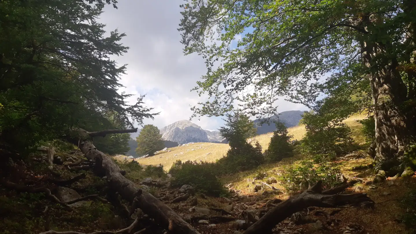 Pescasseroli, Abruzzo